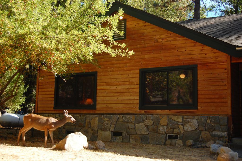 9N Fox Hollow Wawona Extérieur photo