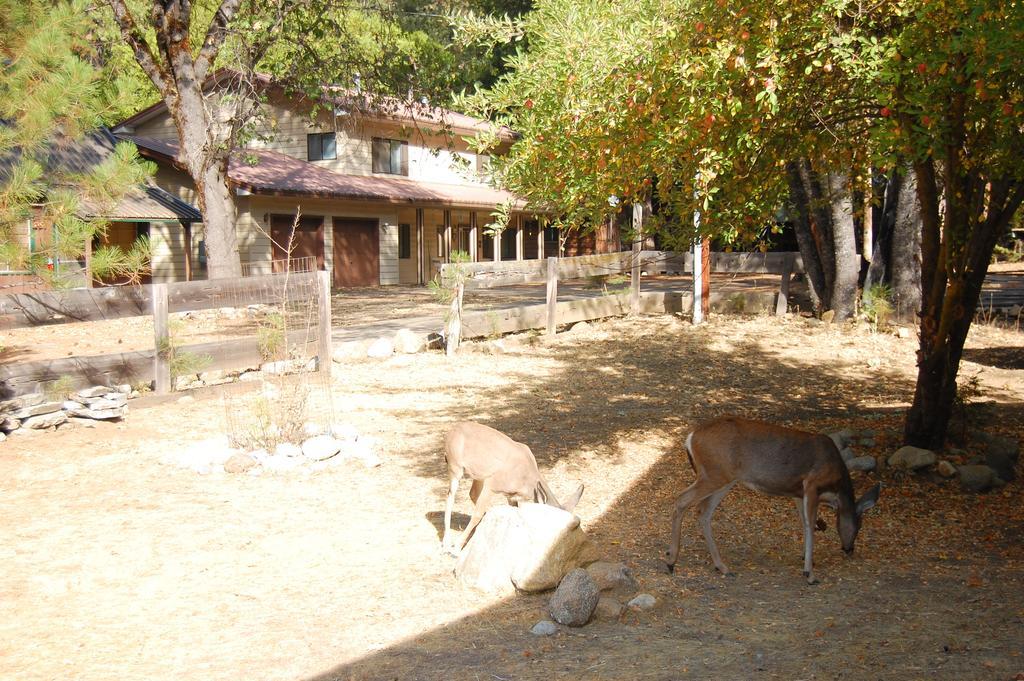 9N Fox Hollow Wawona Extérieur photo
