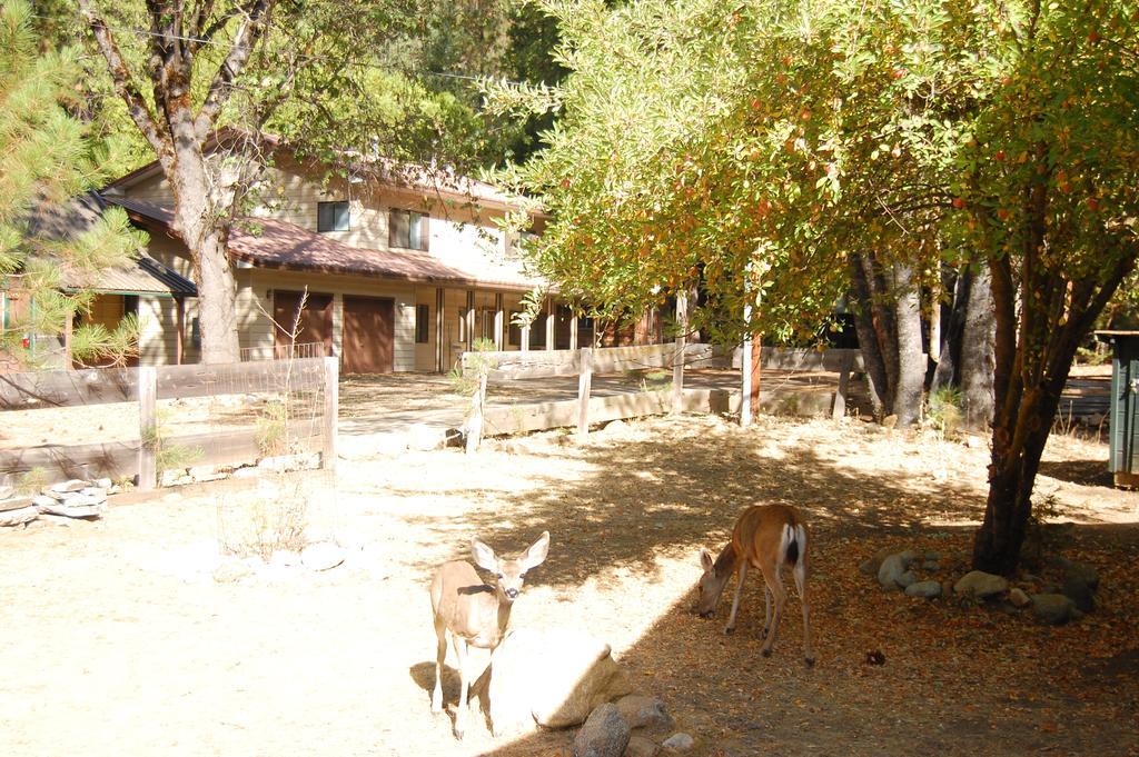 9N Fox Hollow Wawona Extérieur photo